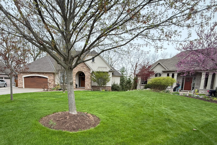 Lawn Maintenance Service