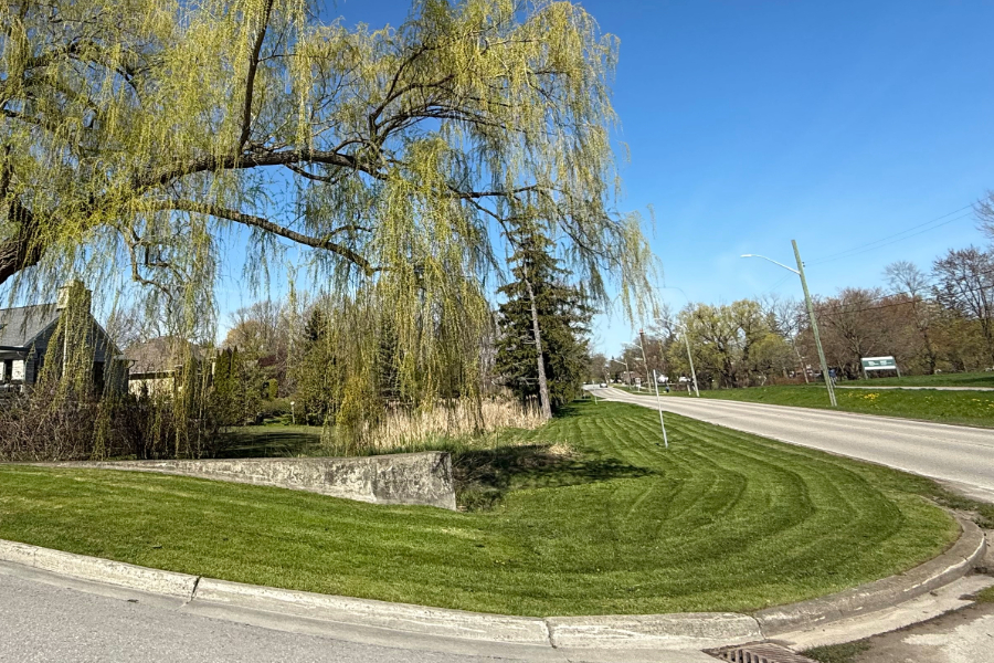 Lawn Strips
